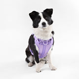 Khushal Adjustable Soft Padded No Pull Pet Harness with 3 Buckles and 3 Leash Clips