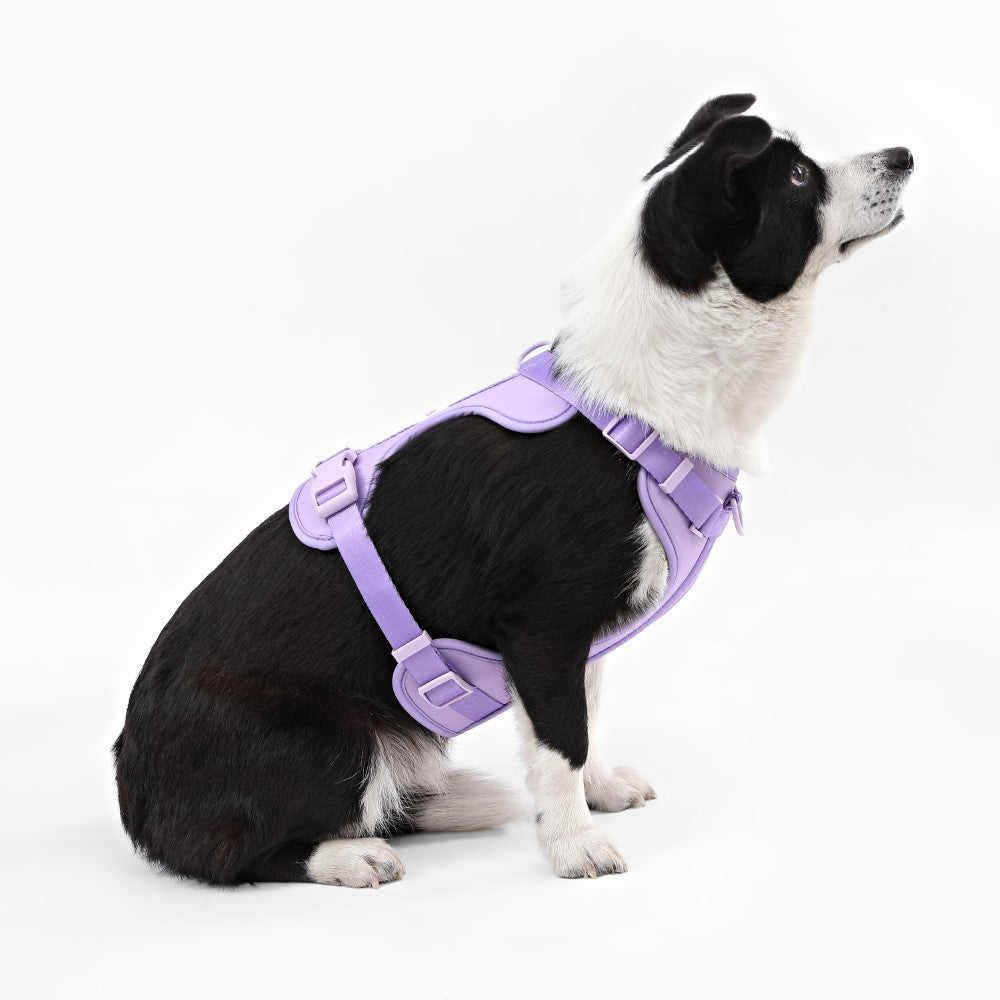 Khushal Adjustable Soft Padded No Pull Pet Harness with 3 Buckles and 3 Leash Clips