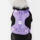 Khushal Adjustable Soft Padded No Pull Pet Harness with 3 Buckles and 3 Leash Clips