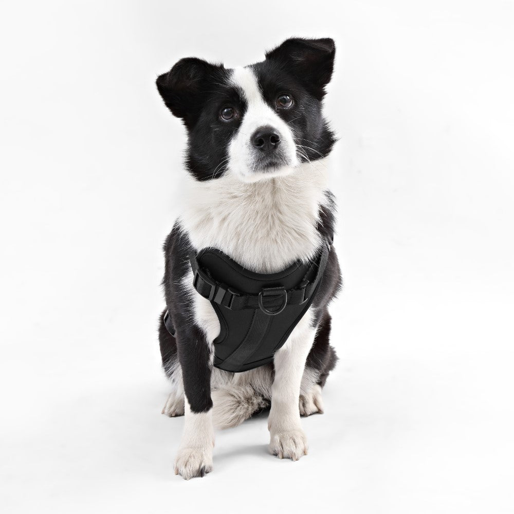 Khushal Adjustable Soft Padded No Pull Pet Harness with 3 Buckles and 3 Leash Clips