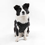 Khushal Adjustable Soft Padded No Pull Pet Harness with 3 Buckles and 3 Leash Clips