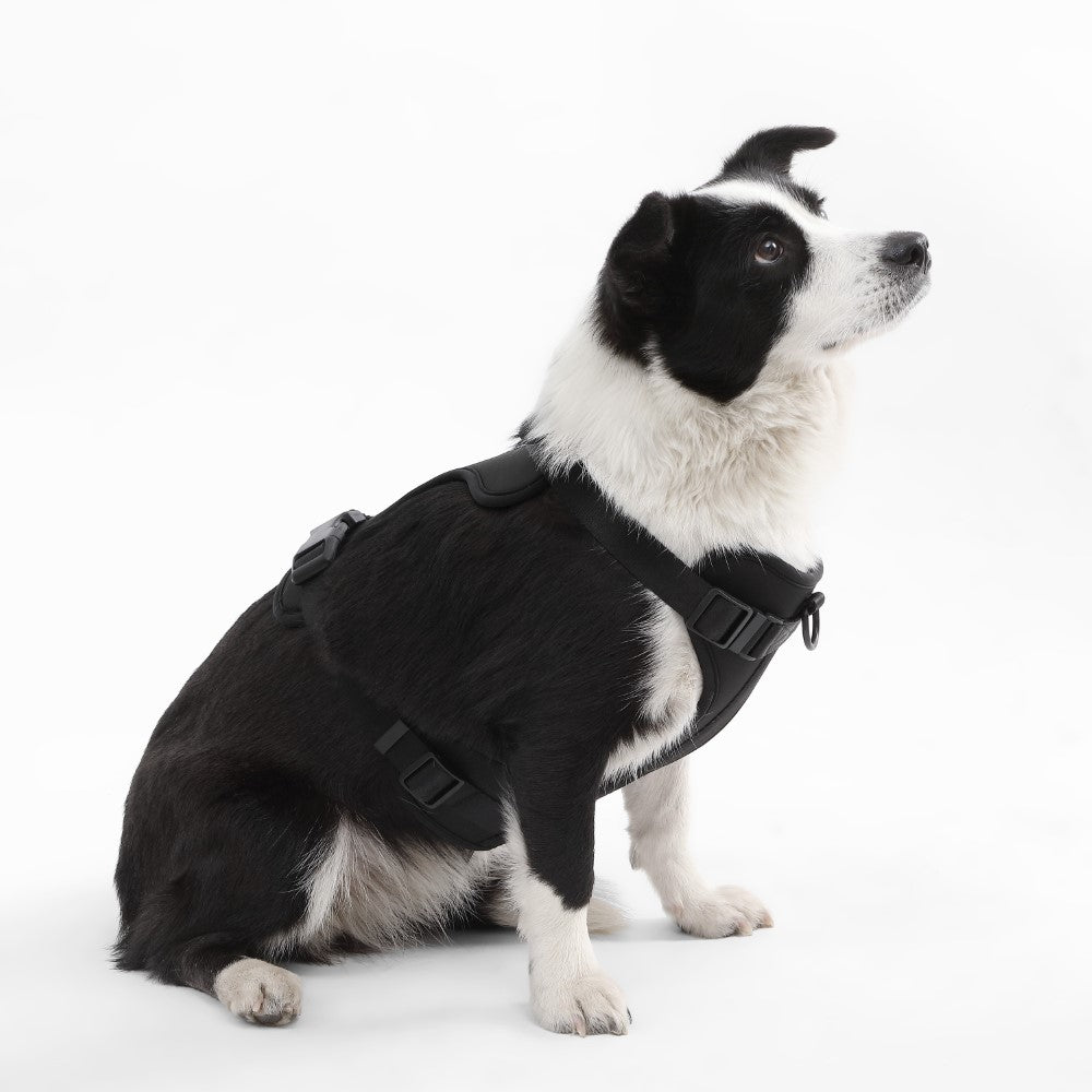 Khushal Adjustable Soft Padded No Pull Pet Harness with 3 Buckles and 3 Leash Clips