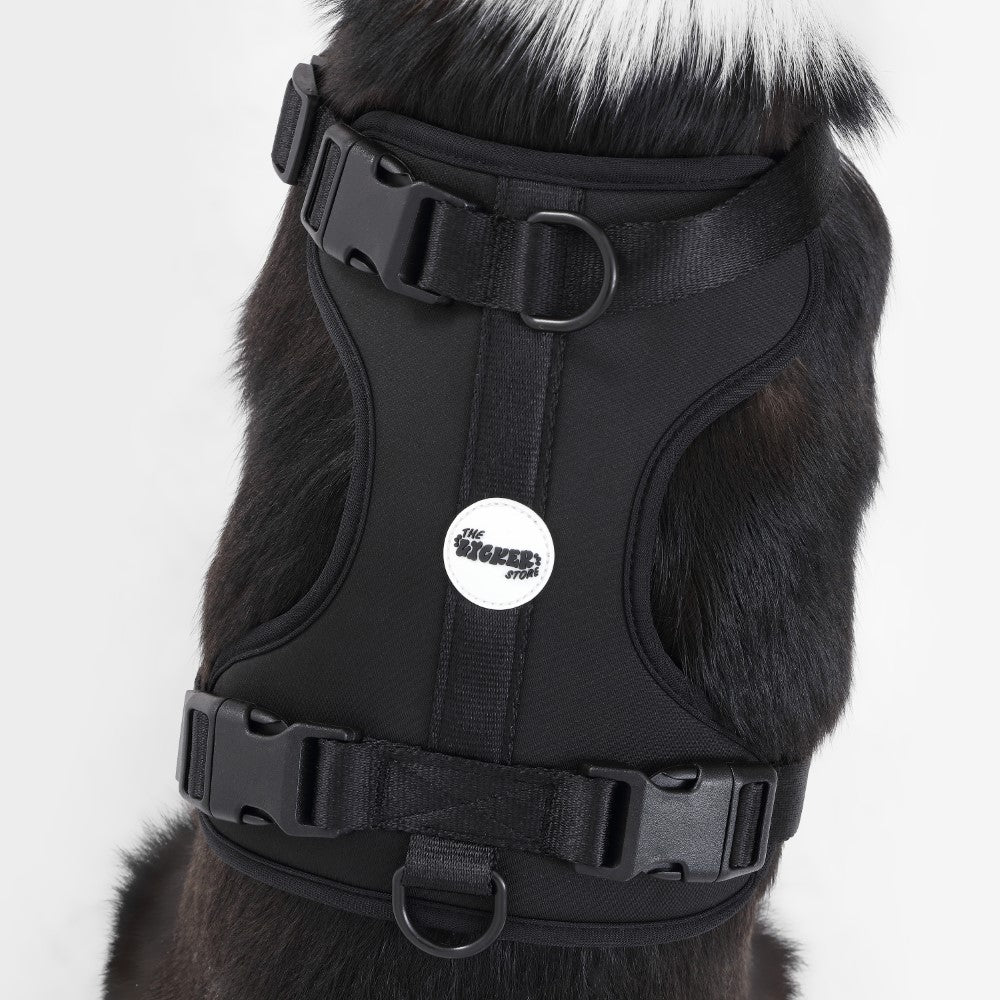 Khushal Adjustable Soft Padded No Pull Pet Harness with 3 Buckles and 3 Leash Clips