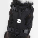 Khushal Adjustable Soft Padded No Pull Pet Harness with 3 Buckles and 3 Leash Clips