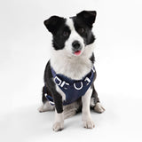 Khushal Adjustable Soft Padded No Pull Pet Harness with 3 Buckles and 3 Leash Clips