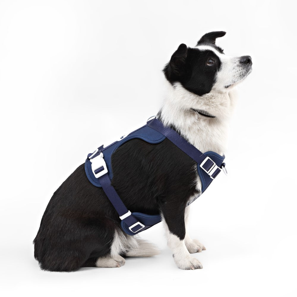 Khushal Adjustable Soft Padded No Pull Pet Harness with 3 Buckles and 3 Leash Clips