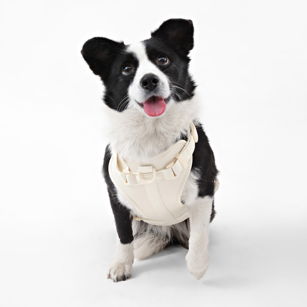 Khushal Adjustable Soft Padded No Pull Pet Harness with 3 Buckles and 3 Leash Clips