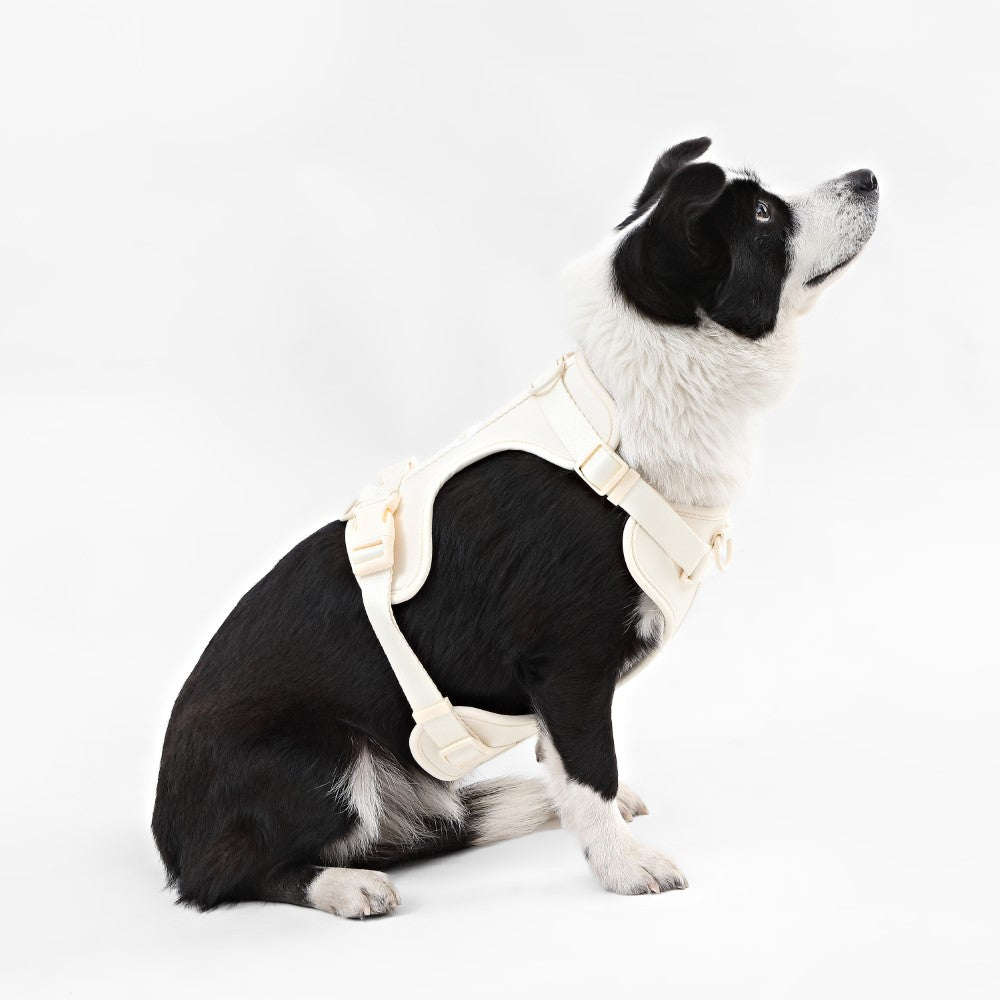 Khushal Adjustable Soft Padded No Pull Pet Harness with 3 Buckles and 3 Leash Clips