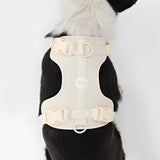 Khushal Adjustable Soft Padded No Pull Pet Harness with 3 Buckles and 3 Leash Clips