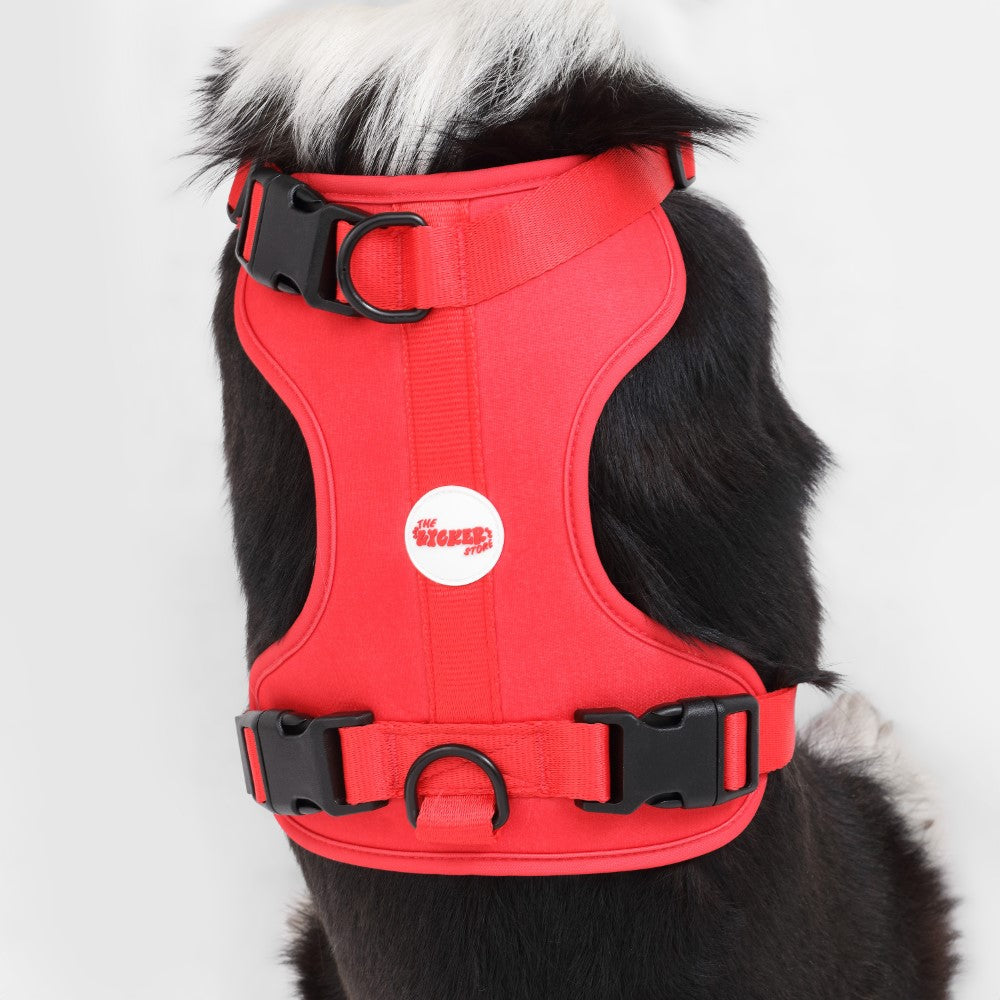 Khushal Adjustable Soft Padded No Pull Pet Harness with 3 Buckles and 3 Leash Clips