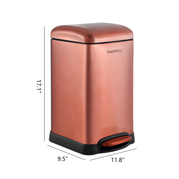 Dimension Image Rose Gold