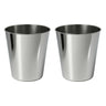 Polished Steel (Set of 2)