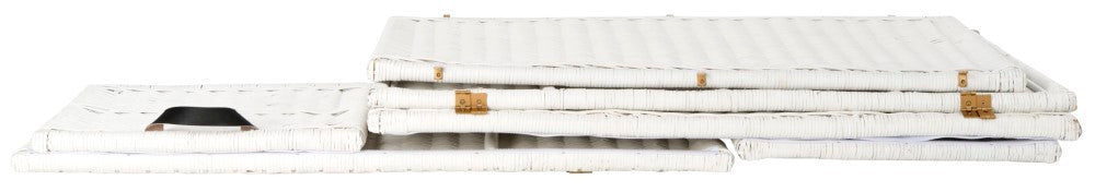 Caden 46'' Wicker Storage Trunk