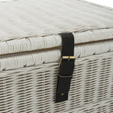 Caden 30'' Wicker Storage Trunk