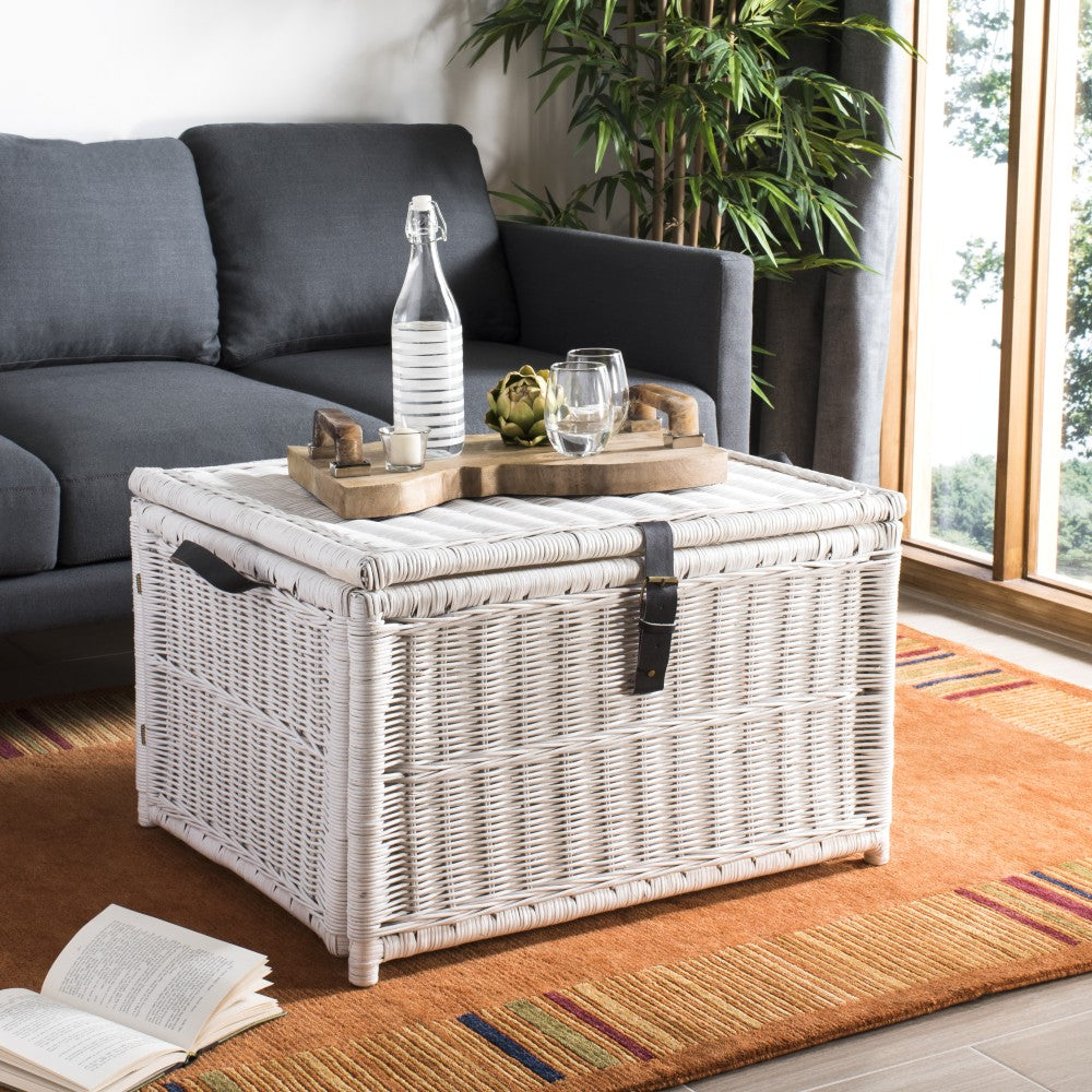 Caden 30'' Wicker Storage Trunk