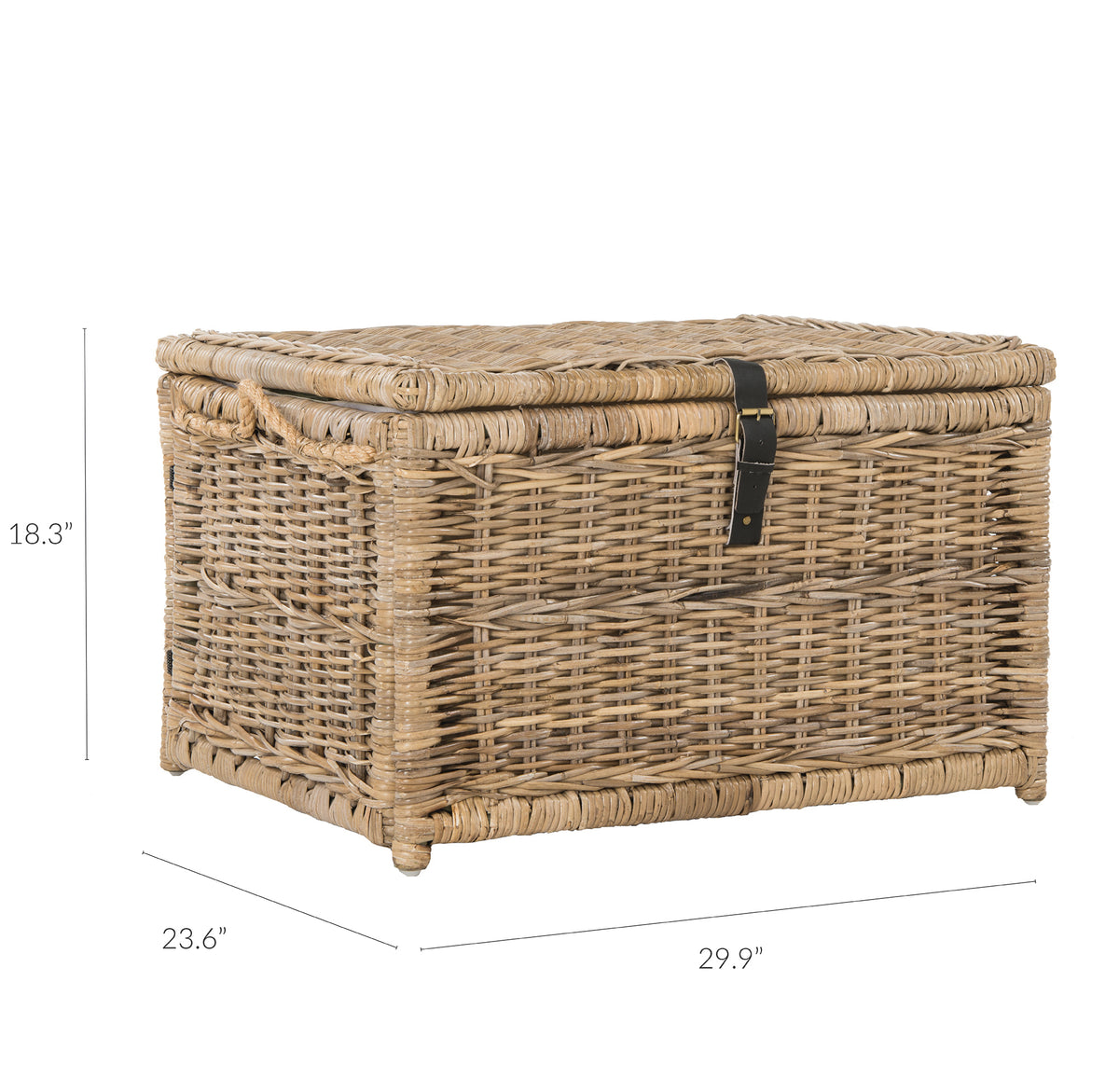 Caden 30'' Wicker Storage Trunk