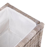 Elijah 30" Wicker Storage Trunk