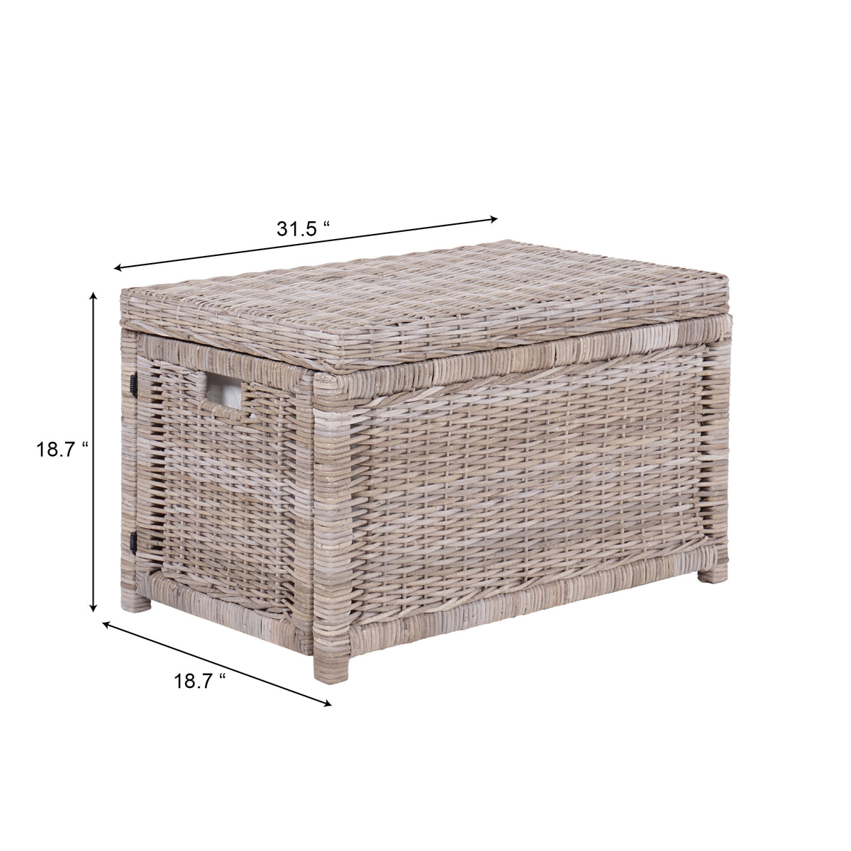 Elijah 30" Wicker Storage Trunk