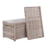 Jacob 30" Wicker Storage Trunk