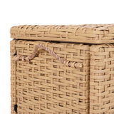 Jacob 30" Wicker Storage Trunk