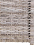 Michael 35" Wicker Storage Trunk