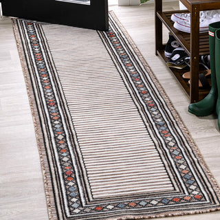 Well High-Low Modern Diamond Border Indoor/Outdoor Area Rug