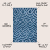 Cox Moroccan Diamond Indoor/outdoor Area Rug
