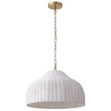 Eliza 20" Coastal Bohemian Rattan/Iron Dome LED Pendant