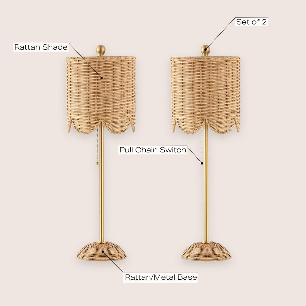 Cape 27.5" Coastal Bohemian Rattan/Iron Scalloped Buffet LED Table Lamp with Pull Chain (Set of 2) Set 2