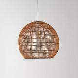 Colette 19" Farmhouse Coastal Rattan 180" Cord Plug-In or Hardwired LED Pendant