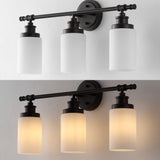 Eidonta 23.25" 3-Light Classic Cottage Vanity Light with Frosted Glass Shades and Bathroom Hardware Accessory Set