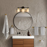 Eidonta 23.25" 3-Light Classic Cottage Vanity Light with Frosted Glass Shades and Bathroom Hardware Accessory Set