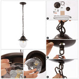 Pure 8.25" Farmhouse Industrial Iron/Glass Outdoor LED Pendant
