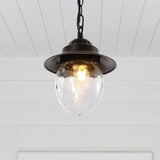 Pure 8.25" Farmhouse Industrial Iron/Glass Outdoor LED Pendant