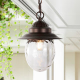 Pure 8.25" Farmhouse Industrial Iron/Glass Outdoor LED Pendant