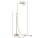 Zinnia 63" Industrial Minimalist Height-Adjustable Iron Pharmacy LED Floor Lamp