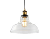 Sam 11" Farmhouse Metal/Glass LED Pendant
