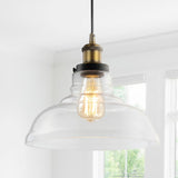 Sam 11" Farmhouse Metal/Glass LED Pendant