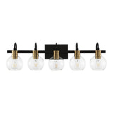 Nelson Iron/Glass Rustic Vintage LED Vanity Light