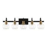Nelson Iron/Glass Rustic Vintage LED Vanity Light