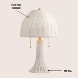 Benny 22"  Bohemian Rustic Iron LED Table Lamp