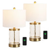 Brass Gold/Clear (Set of 2)