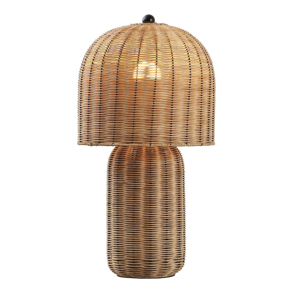 Falcon 22.5" Modern Coastal Woven Rattan Arched LED Table Lamp