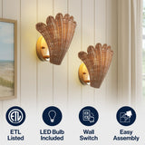 Pine 11.5" Vintage Coastal 1-Light Rattan Scallop Shell LED Wall Sconce Set 2