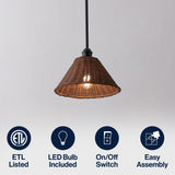 Larkspur 1-Light Coastal Bohemian Metal and Woven Rattan LED Pendant Light