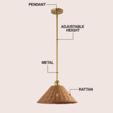 Larkspur 1-Light Coastal Bohemian Metal and Woven Rattan LED Pendant Light