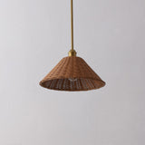 Larkspur 1-Light Coastal Bohemian Metal and Woven Rattan LED Pendant Light