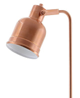 Oleander 57" Metal Task LED Floor Lamp