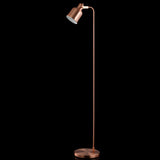 Oleander 57" Metal Task LED Floor Lamp