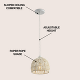 Wasp 20" Woven Rattan Dome LED Pendant
